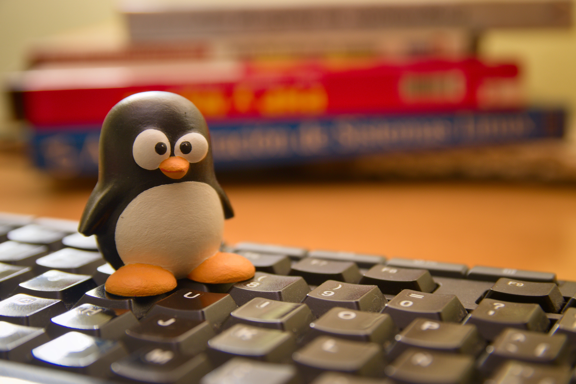 Subiekt na Linuxie – czy można uruchomić program InsERT bez systemu Windows?