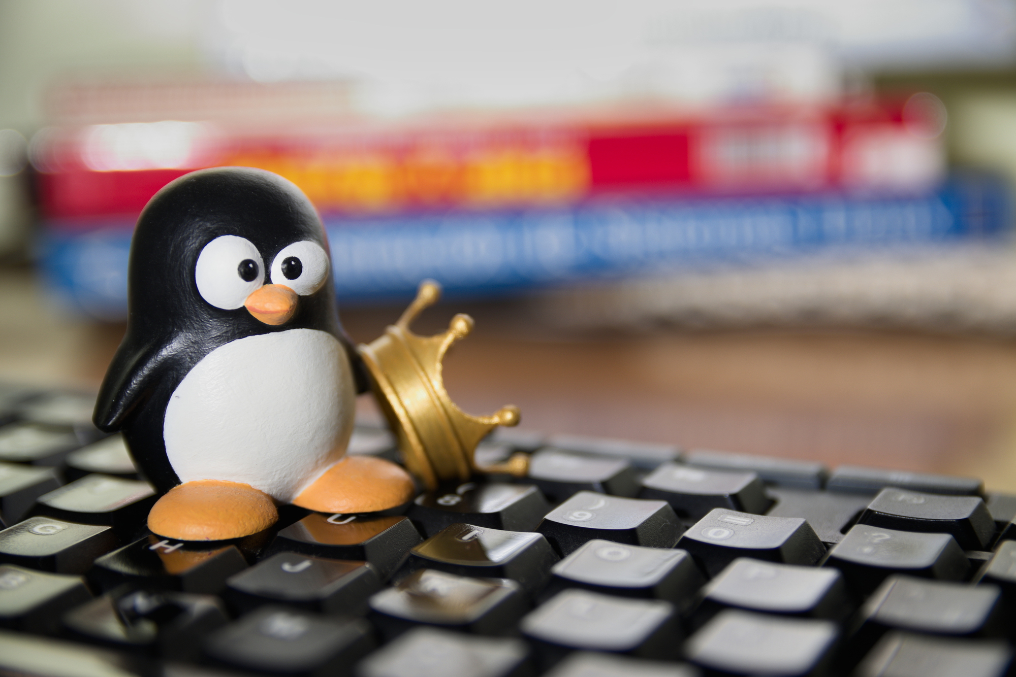 Subiekt na Linuxie – czy można wygodnie pracować bez systemu Windows?